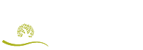 Olive Trees Company